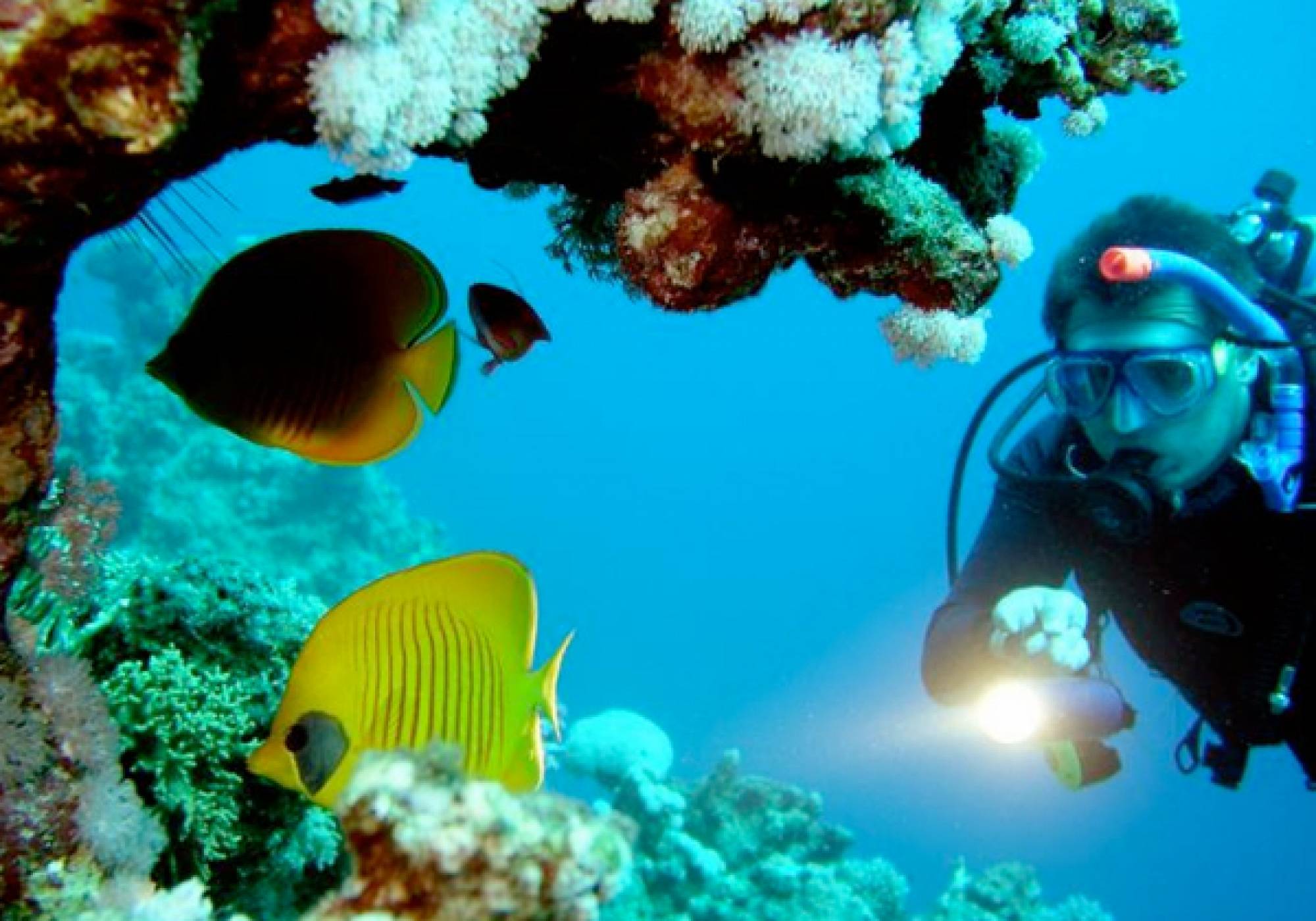 Snorkel Tour, Catalinas, Guanacaste, Costa Rica to Flamingo