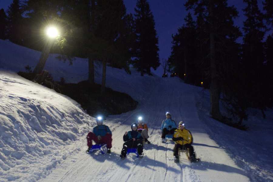 Interlaken Tourismus Luge sous les &eacute;toiles au Niederhorn