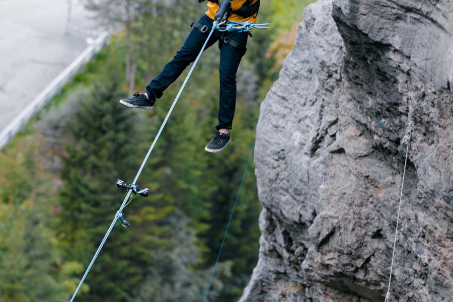 Outdoor Switzerland AG 캐년 스윙 (Canyon Swing)