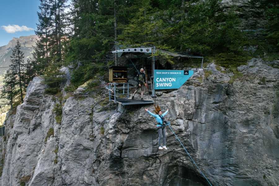 Outdoor Switzerland AG 캐년 스윙 (Canyon Swing)