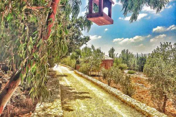 25 August 2017, Friday. Battir Hike & Bird Watching