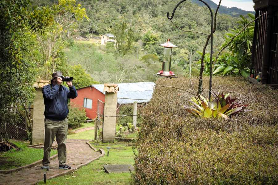 Andes Ecotours Hummingbird Birdwatching Encounter