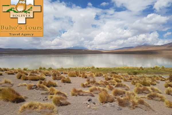 UYUNI 2 DAYS/1 NIGHT