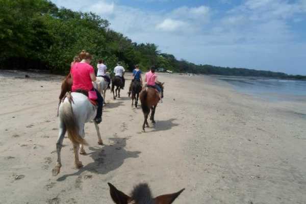 Beach Horseback Riding Tour