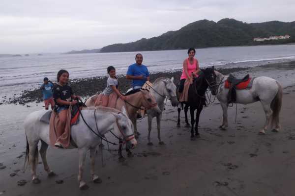 Beach Horseback Riding Tour