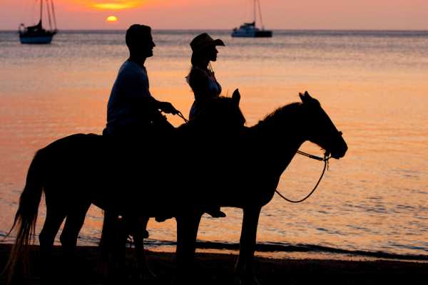 Beach Horseback Riding Tour