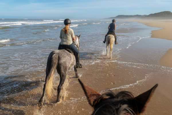 Beach Horseback Riding Tour