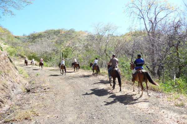 Beach Horseback Riding Tour