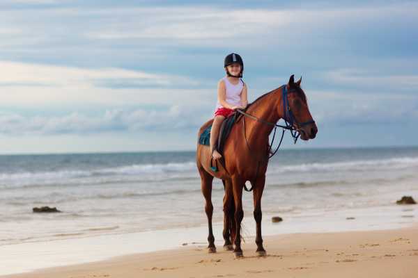 Beach Horseback Riding Tour