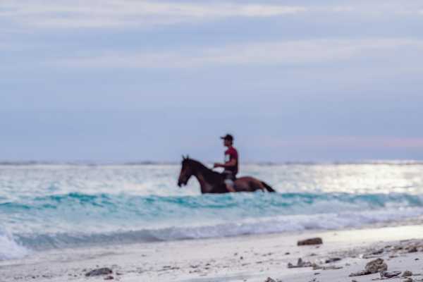 Beach Horseback Riding Tour