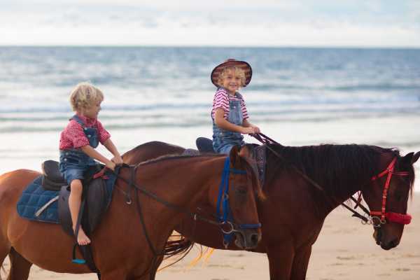 Beach Horseback Riding Tour