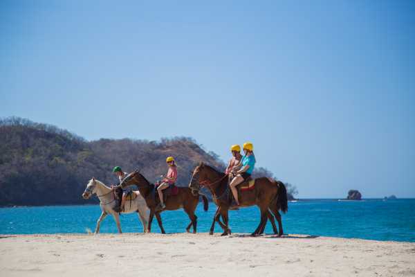 Beach Horseback Riding Tour