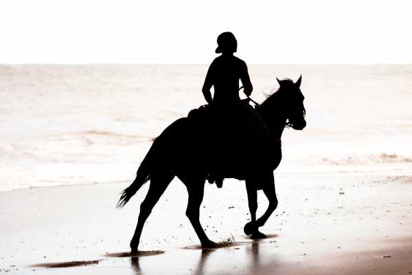 Beach Horseback Riding Tour