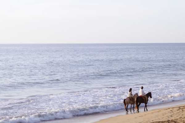 Beach Horseback Riding Tour