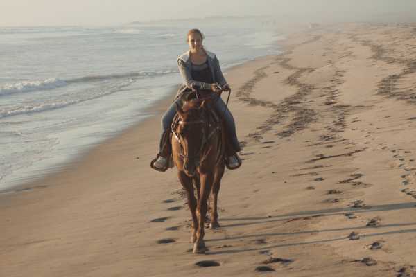 Beach Horseback Riding Tour