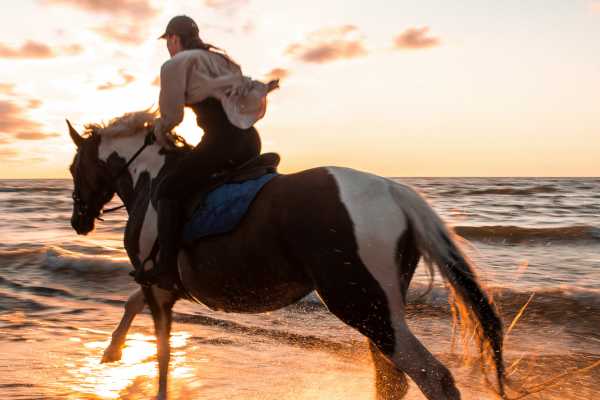Beach Horseback Riding Tour
