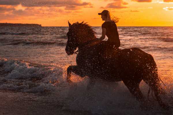 Beach Horseback Riding Tour
