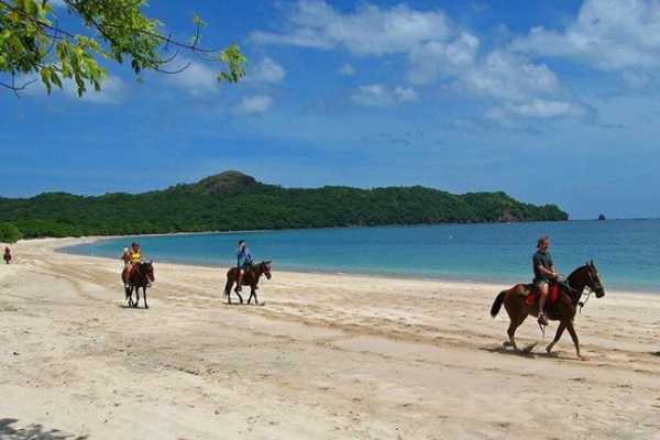Beach Horseback Riding Tour