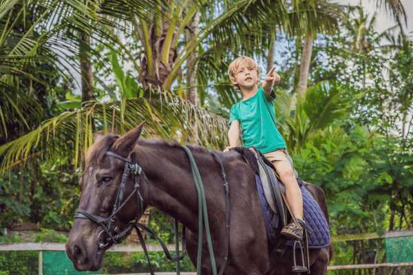 Beach Horseback Riding Tour