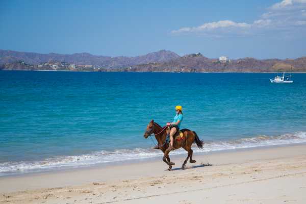Beach Horseback Riding Tour