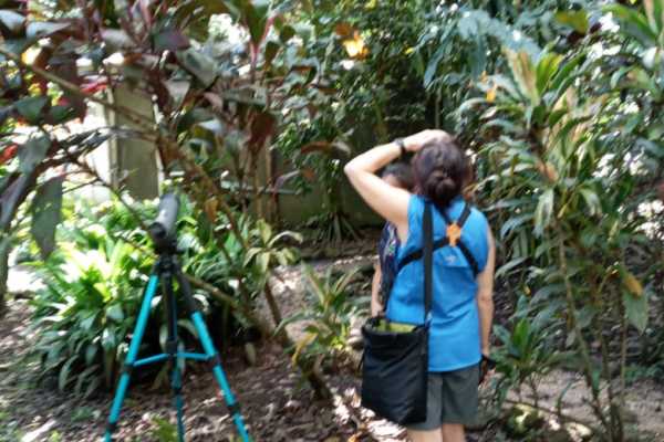 Arenal Hiking and Hot Springs Combo