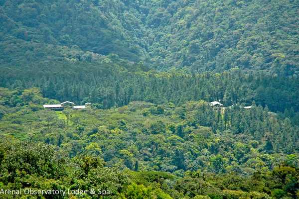 Arenal Hiking and Hot Springs Combo