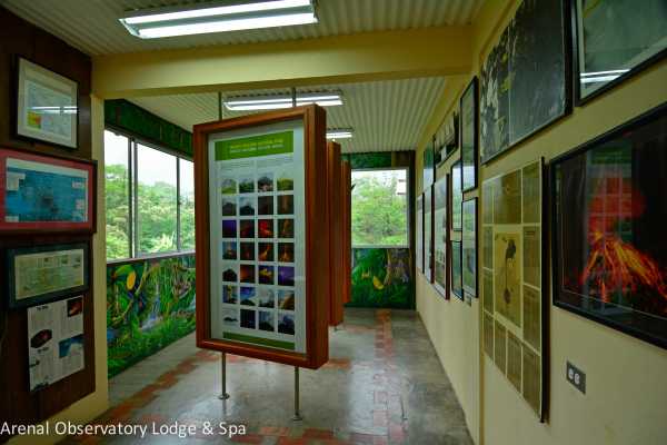 Arenal Hiking and Hot Springs Combo