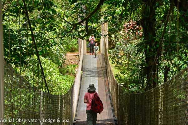 Arenal Hiking and Hot Springs Combo