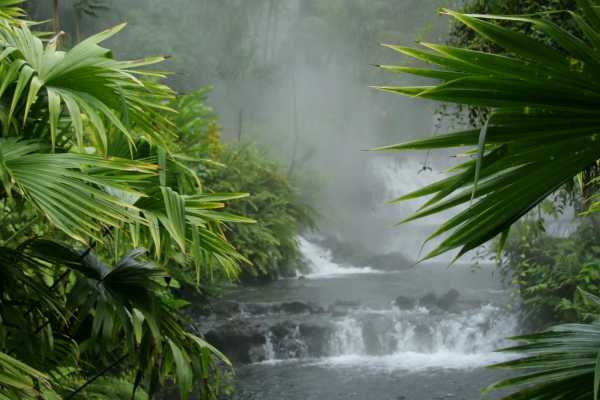 Arenal Hiking and Hot Springs Combo