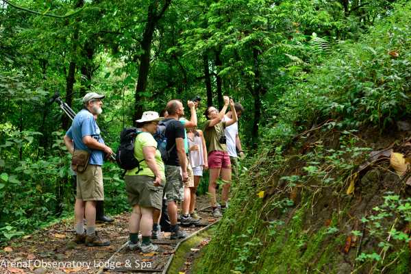 Arenal Hiking and Hot Springs Combo
