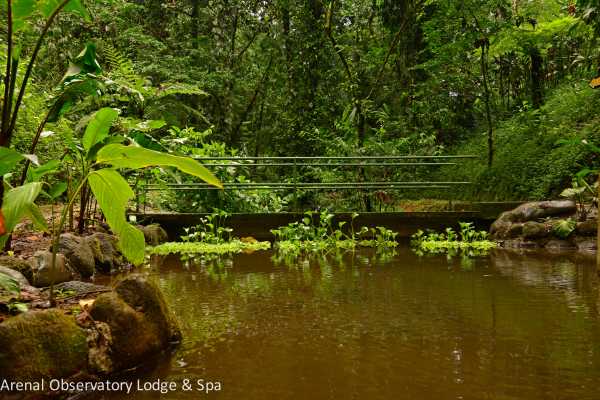 Arenal Hiking and Hot Springs Combo