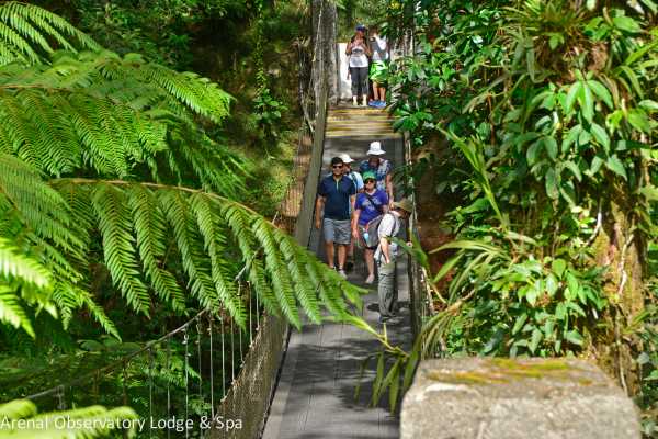 Arenal Hiking and Hot Springs Combo