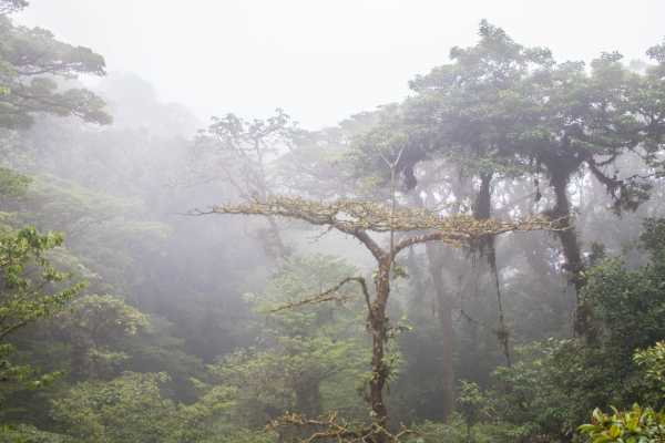 Arenal Hiking and Hot Springs Combo