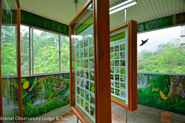 Arenal Hiking and Hot Springs Combo