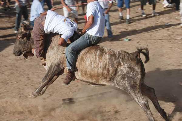 Guanacaste Rodeo Tour