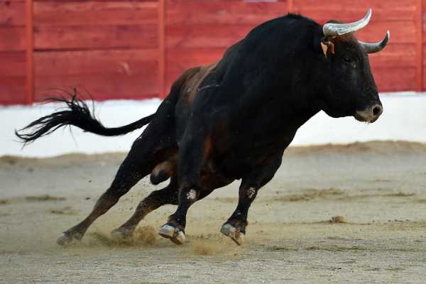Guanacaste Rodeo Tour