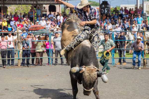 Guanacaste Rodeo Tour