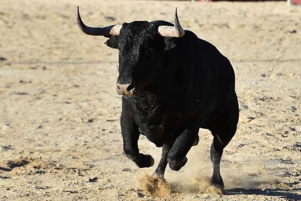 Guanacaste Rodeo Tour