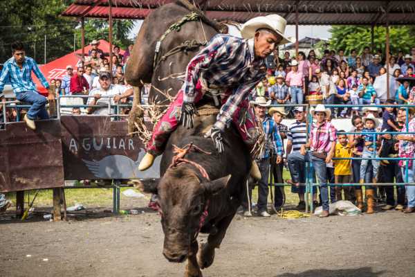 Guanacaste Rodeo Tour