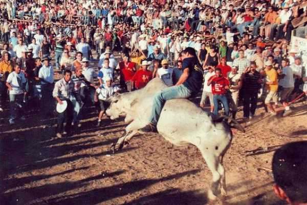 Guanacaste Rodeo Tour