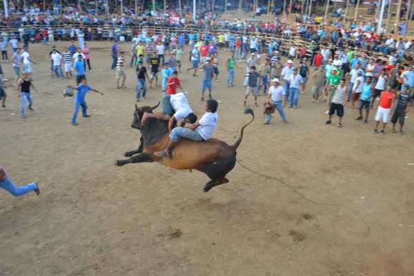 Guanacaste Rodeo Tour