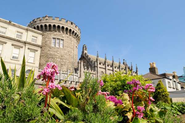 3-hour Dublin Private City Tour
