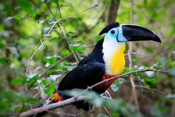 Zip-Line, ATV and Monkey Wildlife Park