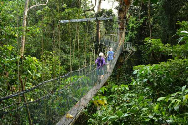 Zip-Line, ATV and Monkey Wildlife Park