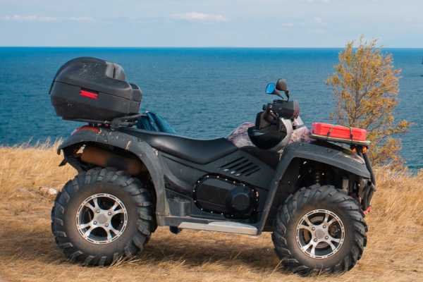 Zip-Line, ATV and Monkey Wildlife Park