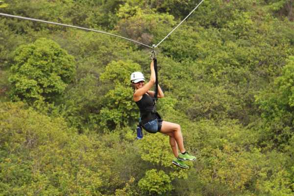Zip-Line, ATV and Monkey Wildlife Park