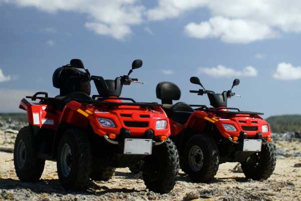 Zip-Line, ATV and Monkey Wildlife Park