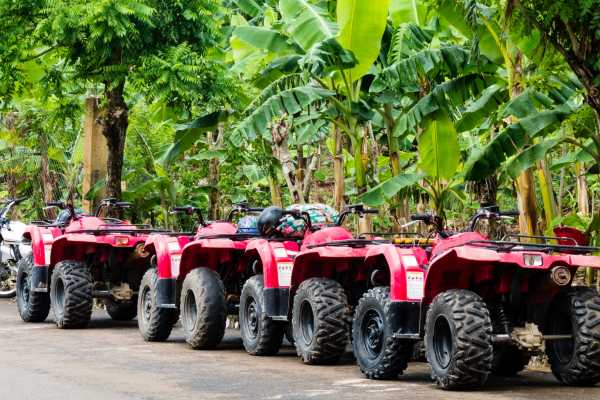 ATV Monkey Wildlife Park