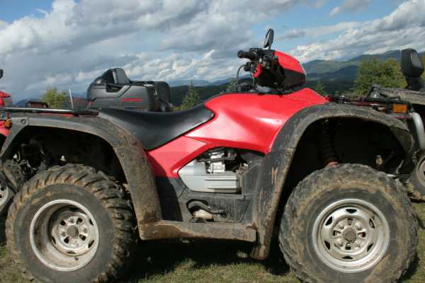 ATV Monkey Wildlife Park