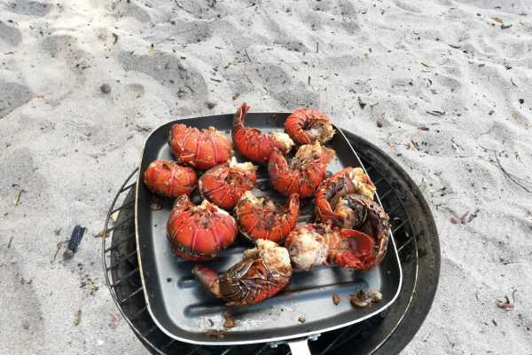 ATV Beach BBQ Lobster Tour